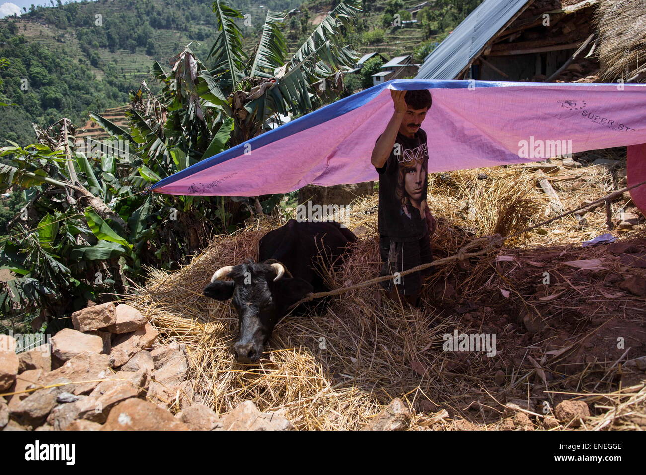 Krava Bot Village, Nepal. 3rd May, 2015. A man is pictured near his