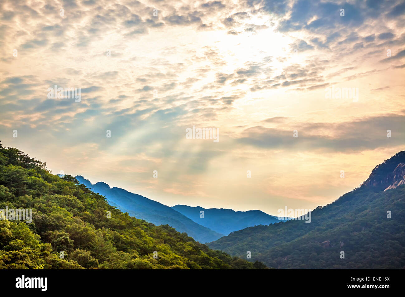 Mountains with green trees landscape and cloudy sky with sunbeams in ...