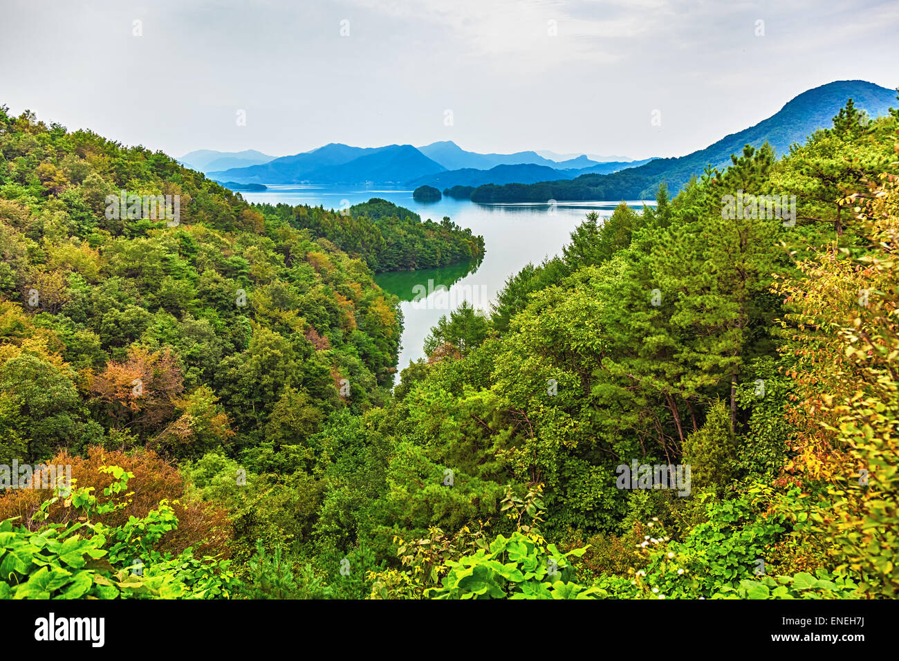 Mountains with green trees and lake landscape in South Korea Stock Photo