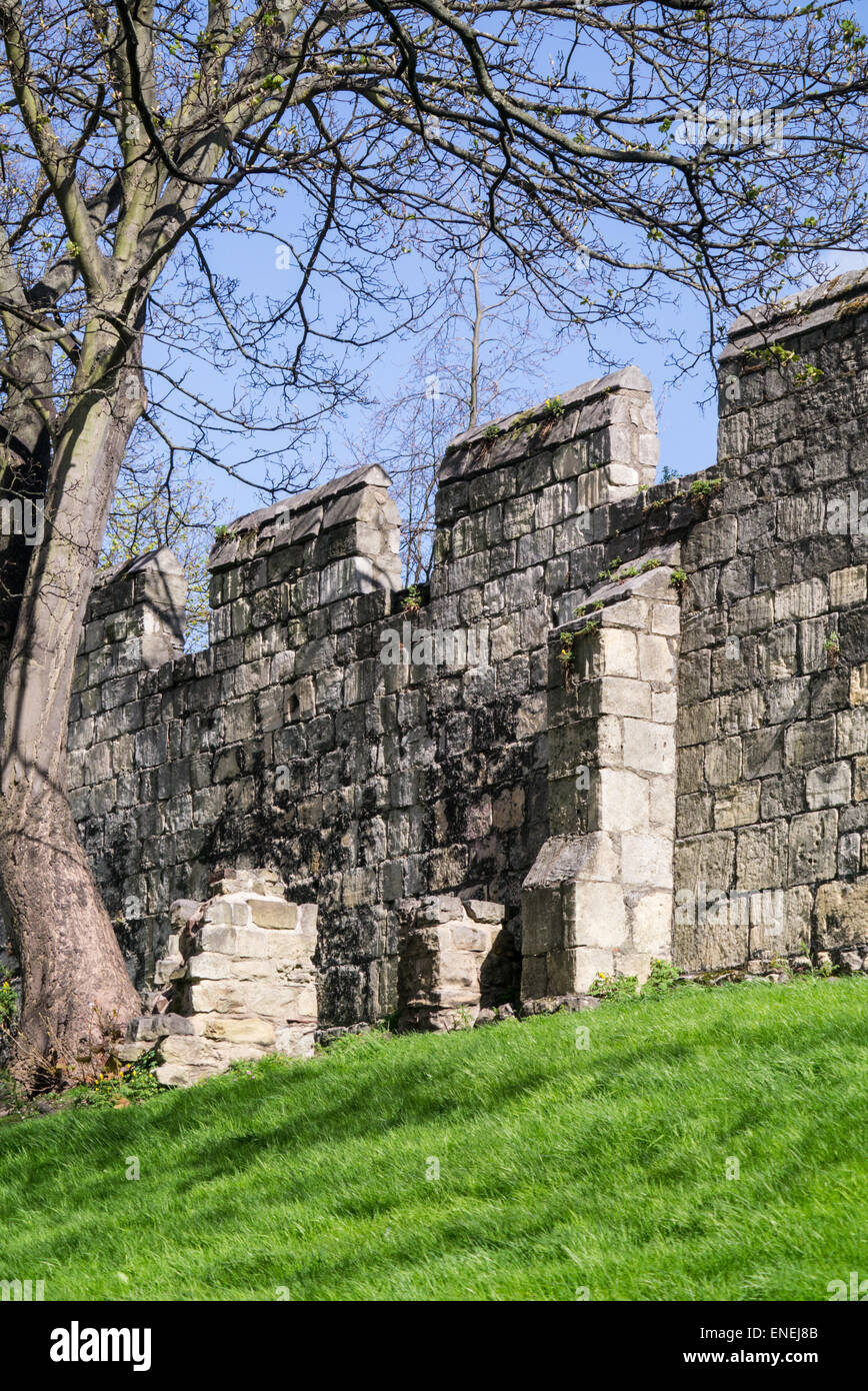 Sunlit York city walls, York, UK Stock Photo