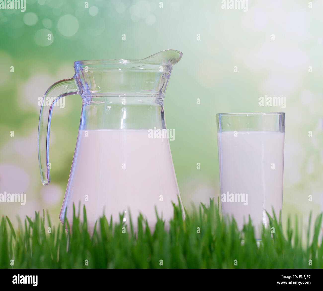 Fresh organic milk. Nature background. Stock Photo