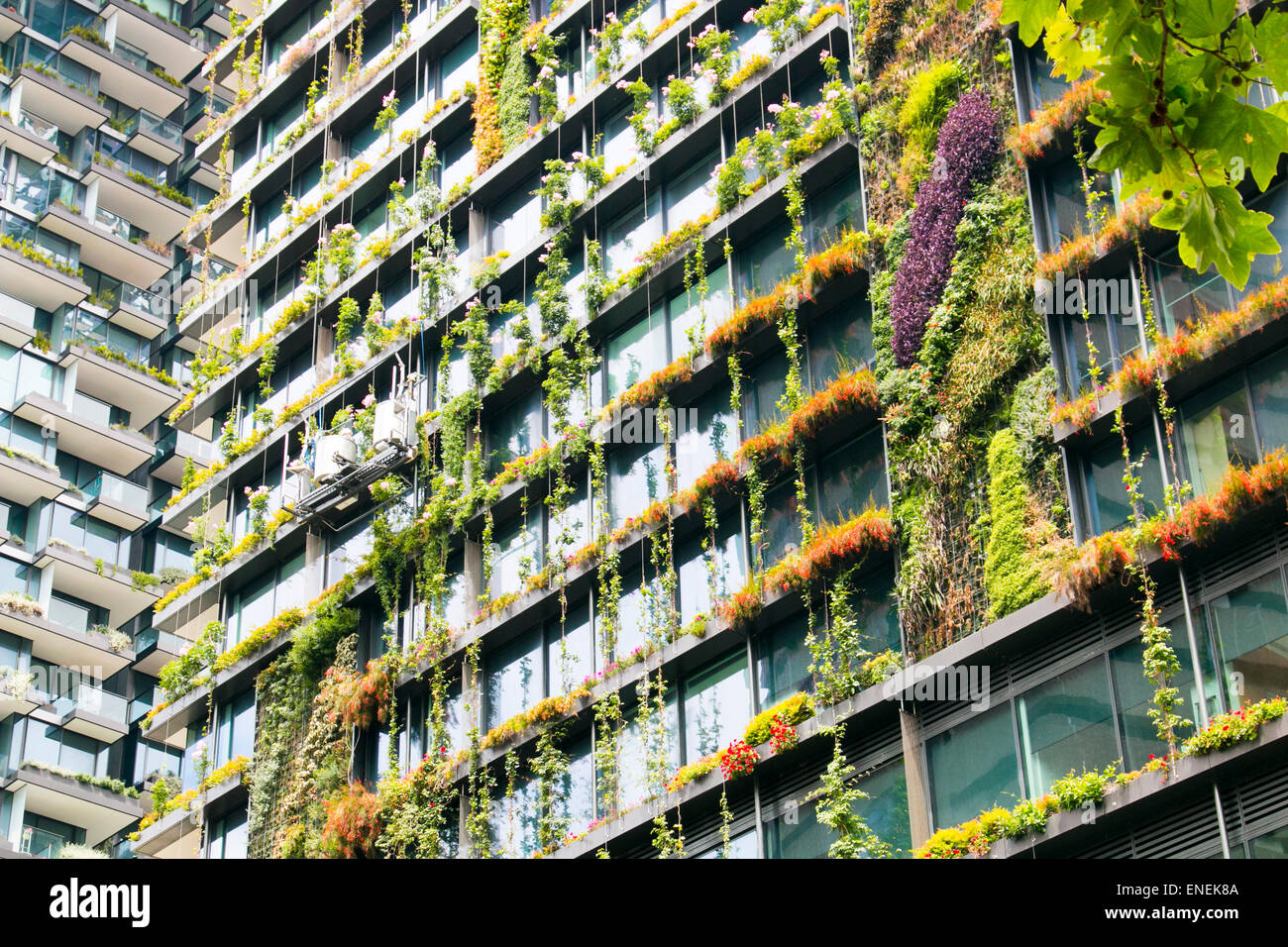 vertical garden by Patric Blanc at the Central park residential development in Chippendale Sydney,Australia Stock Photo