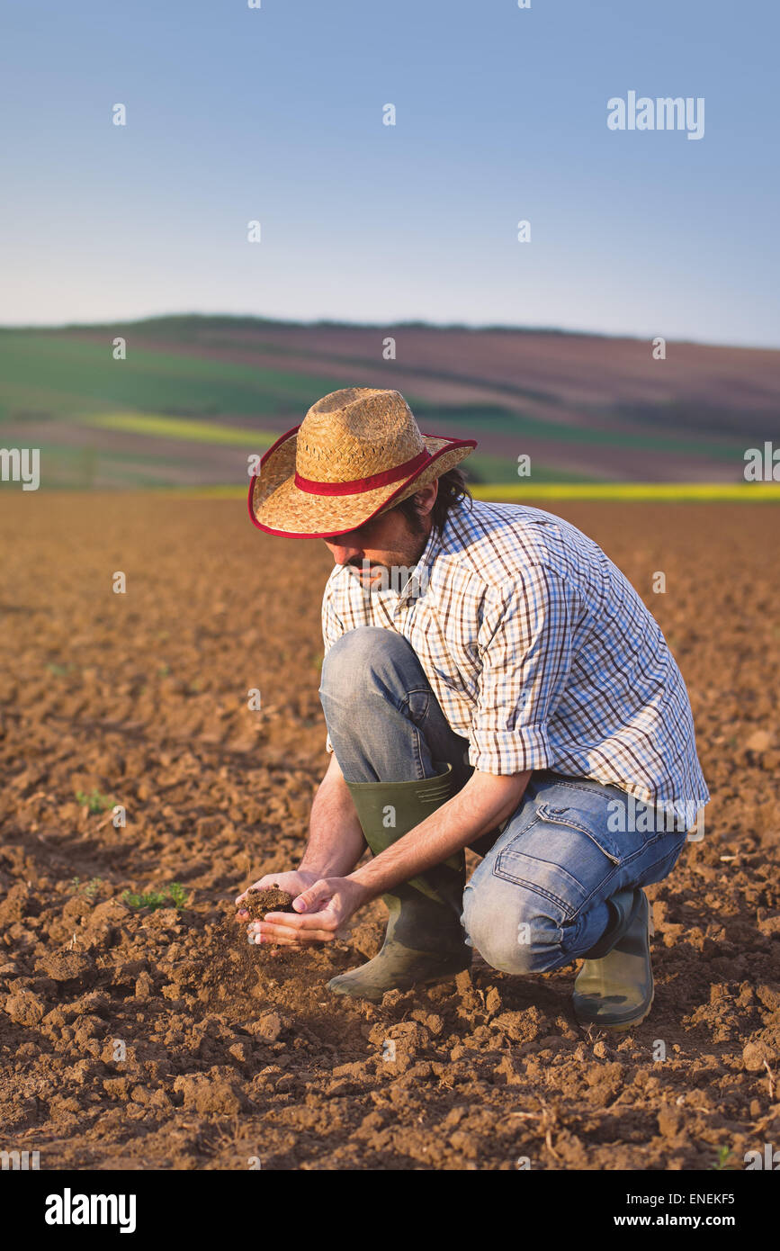 Male Farmer Examines Soil Quality on Fertile Agricultural Farm Land