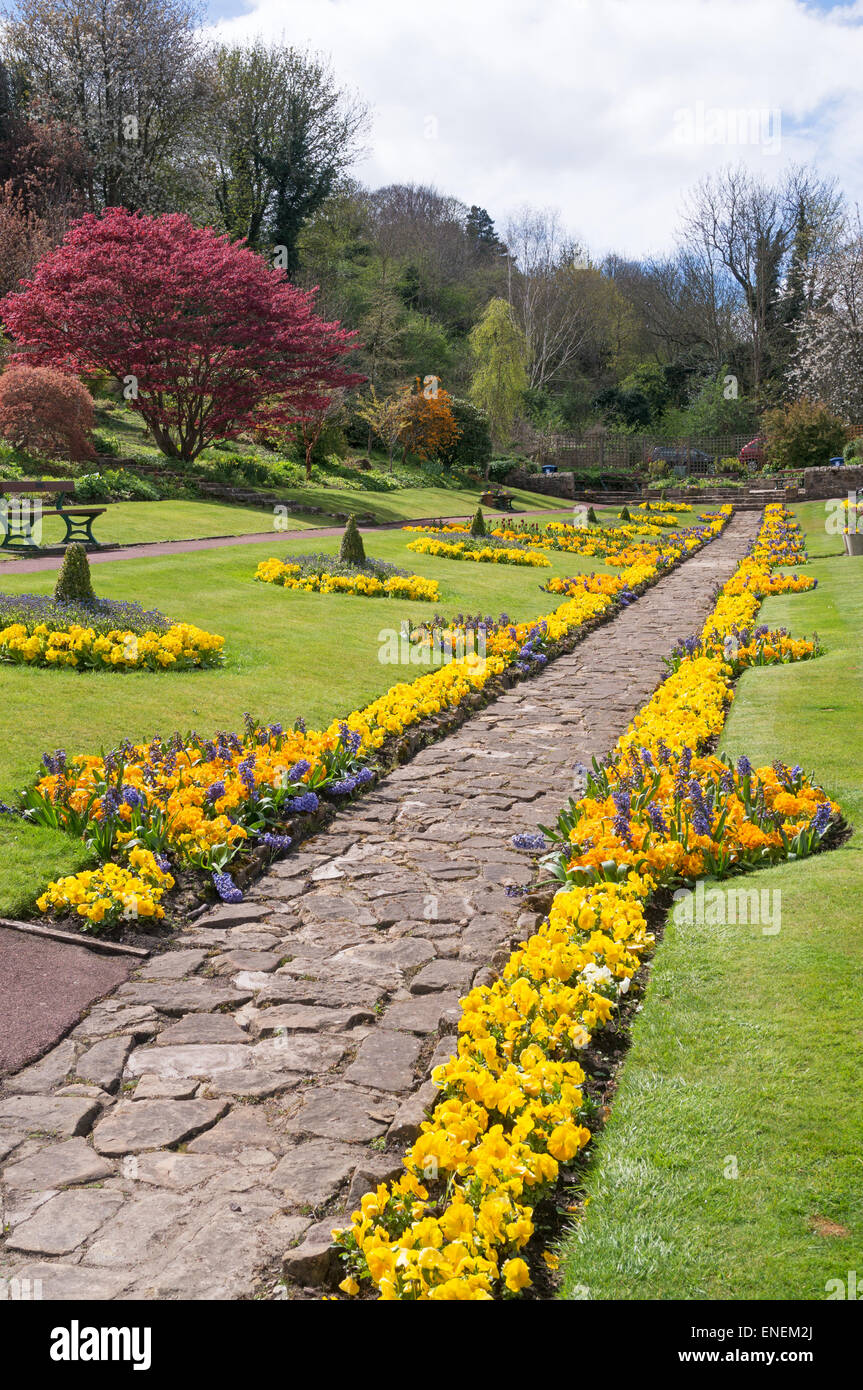 Display of spring flowers in Carlisle Park, Morpeth, north east England, UK Stock Photo