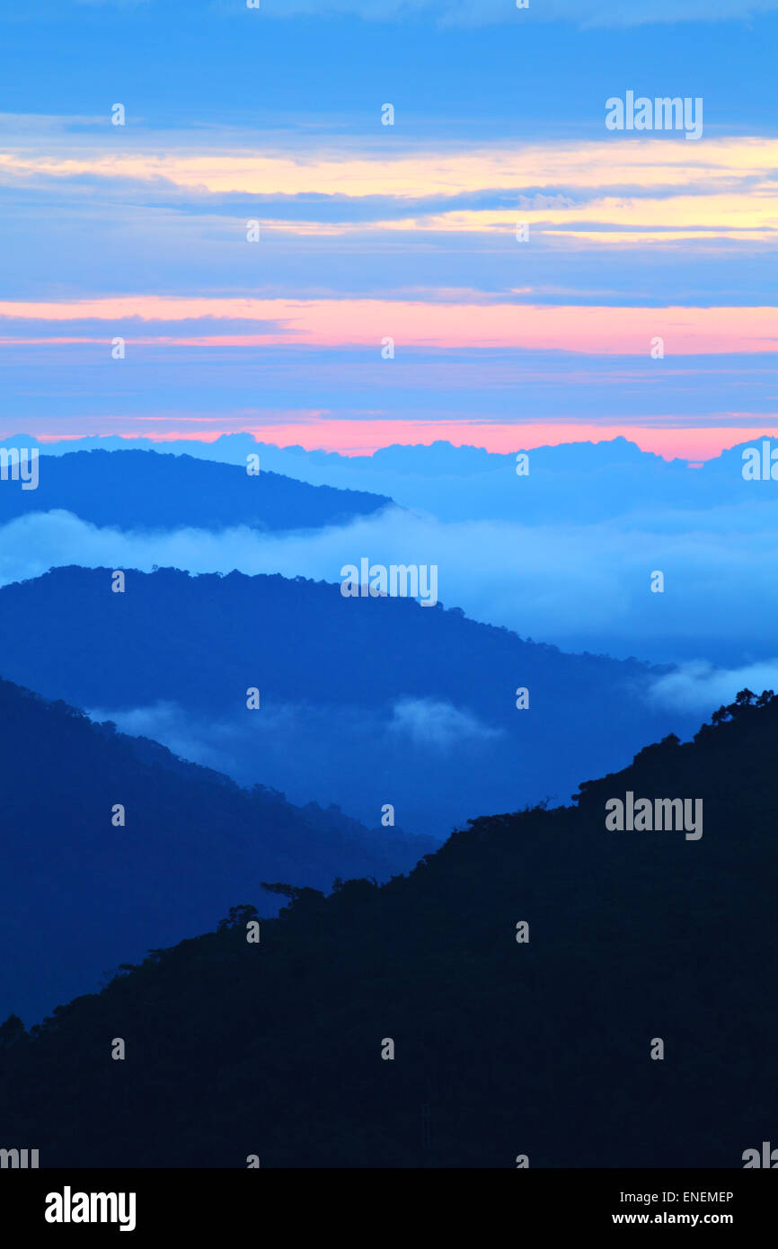 Tea plantation at the Cameron Highland, Malaysia Stock Photo