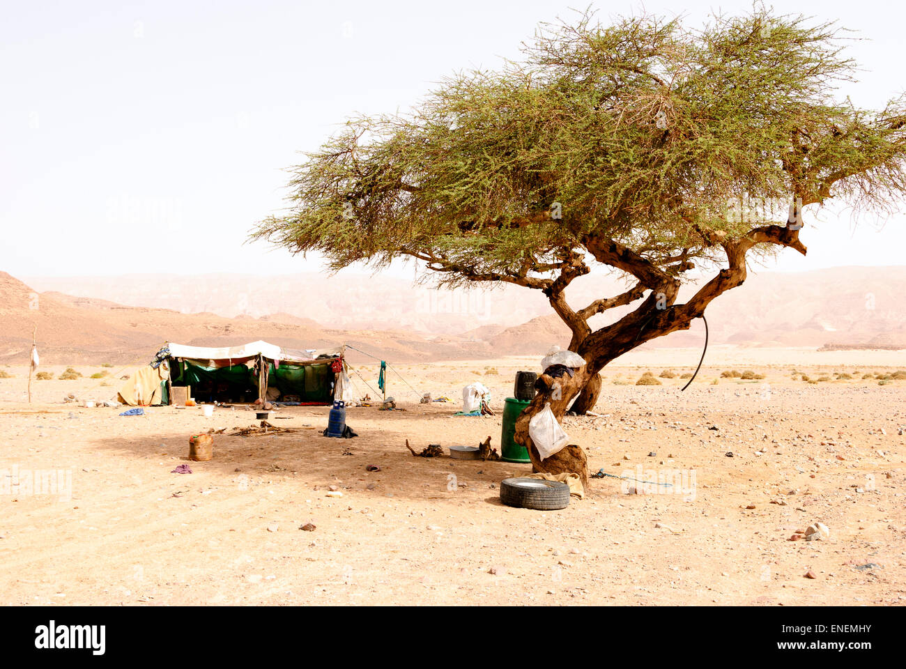 Bedouin tent in the arada desert - Sinai Peninsula, Egypt Stock Photo