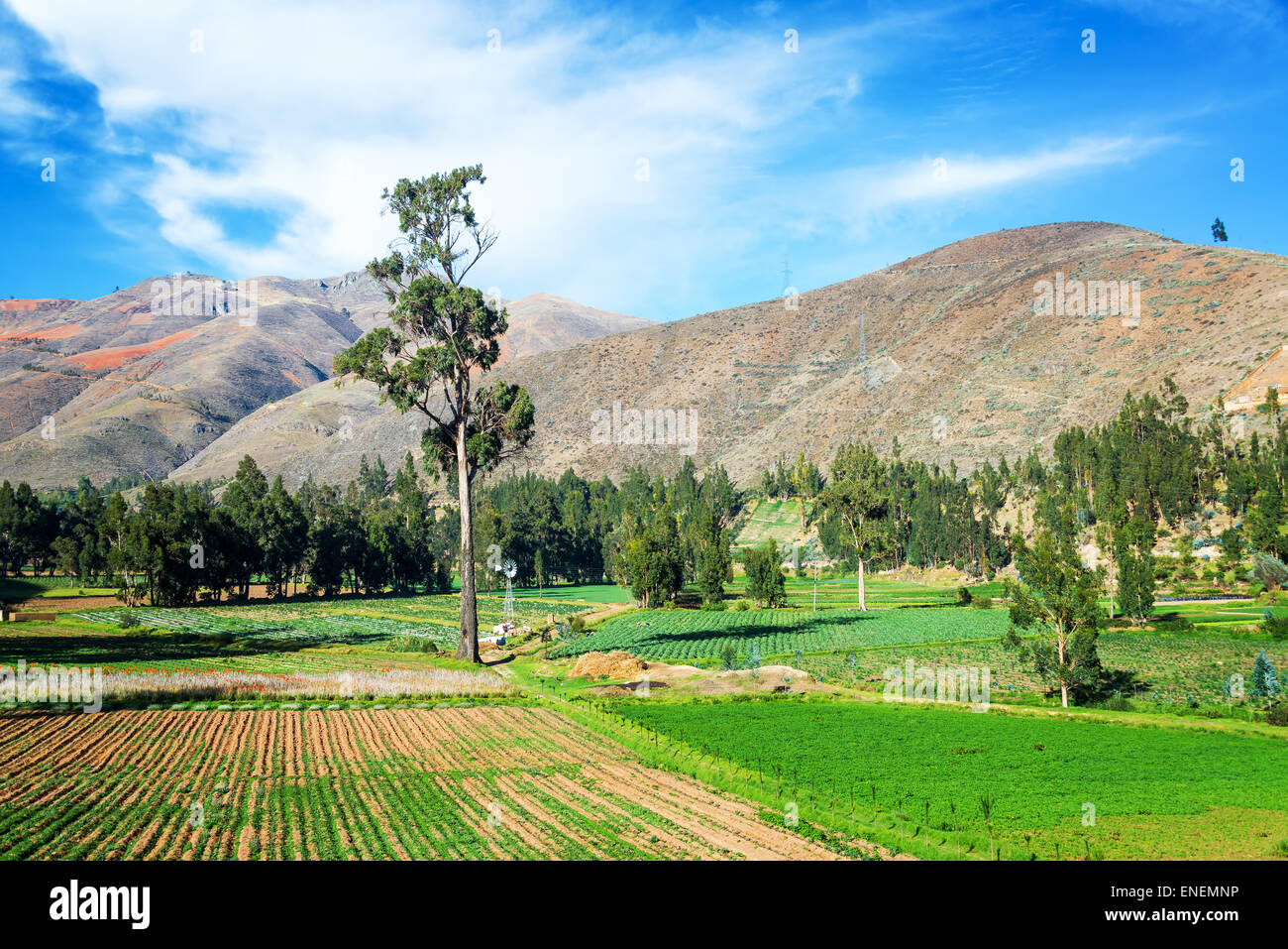 Lush green farmland in Tarma in central Peru Stock Photo