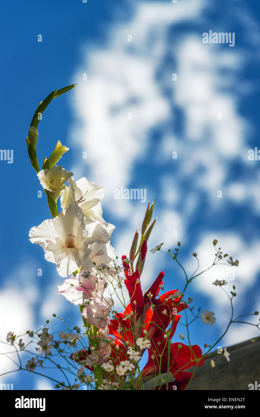 Flowers in a cemetery in Concepcion, Peru Stock Photo