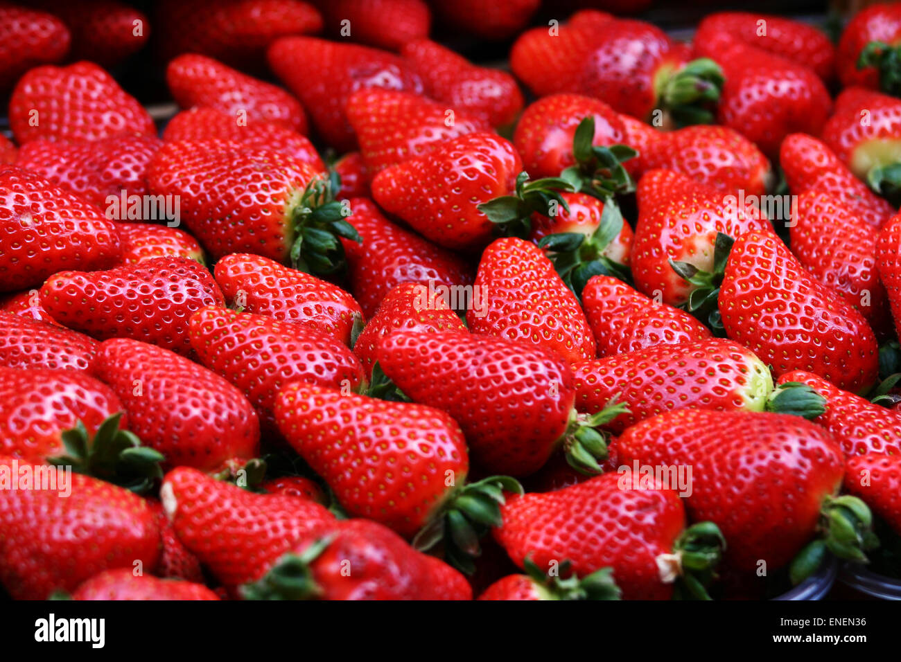 Fresh organic strawberries Stock Photo - Alamy