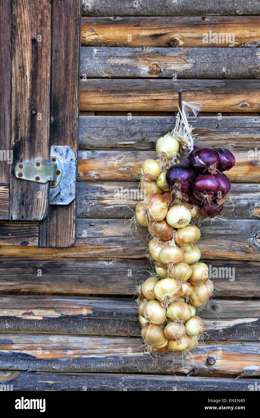 Onion braid hires stock photography and images Alamy