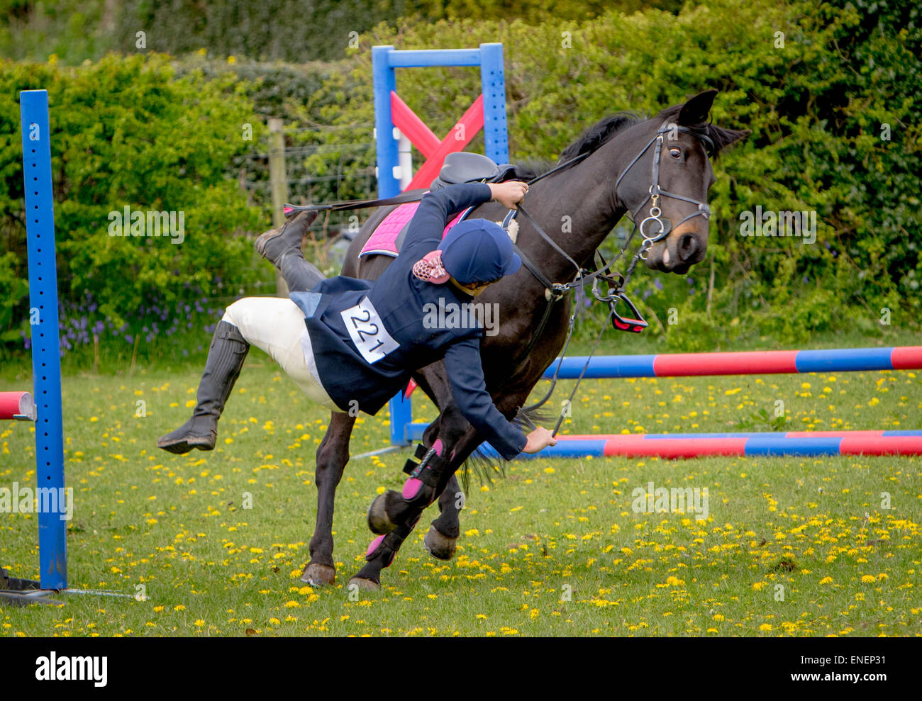 Rider falling of a horse hi-res stock photography and images - Alamy