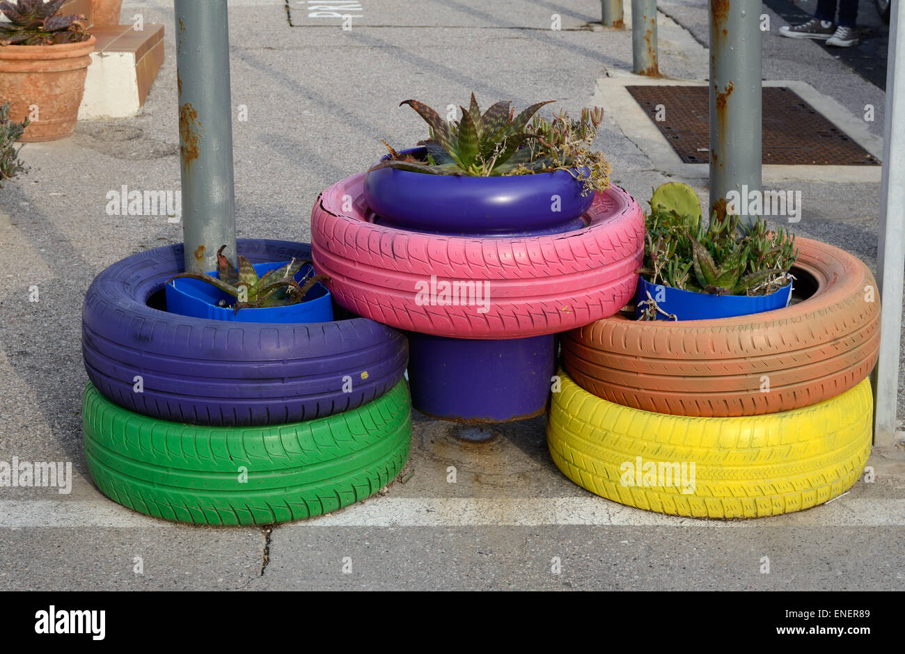 Painted Tires or Tyre Planters or Colourful Rubber Plant Pots Stock Photo
