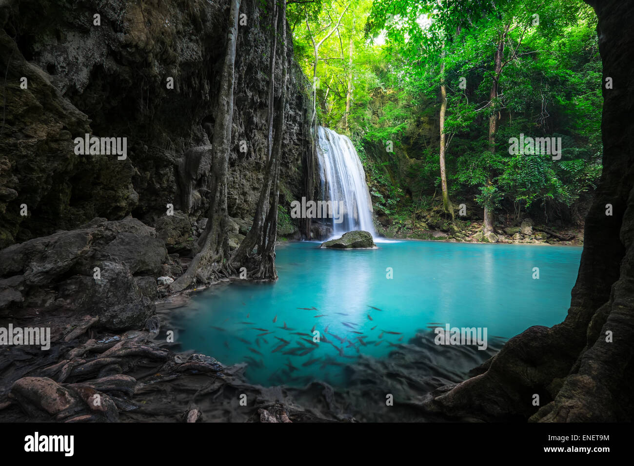 Jangle landscape with flowing turquoise water of Erawan cascade waterfall at deep tropical rain forest. National Park Kanchanabu Stock Photo