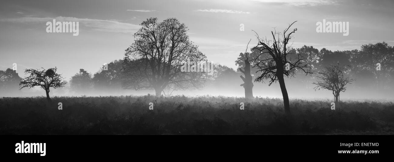 Black and white moody countryside landscape Stock Photo - Alamy