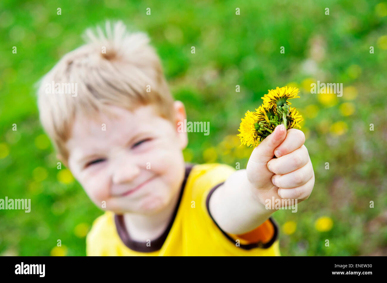 boy giving gift of dandelion flowers Stock Photo Alamy