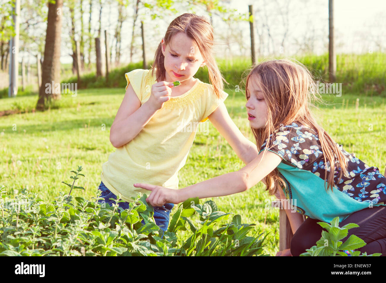 girls in herb garden Stock Photo