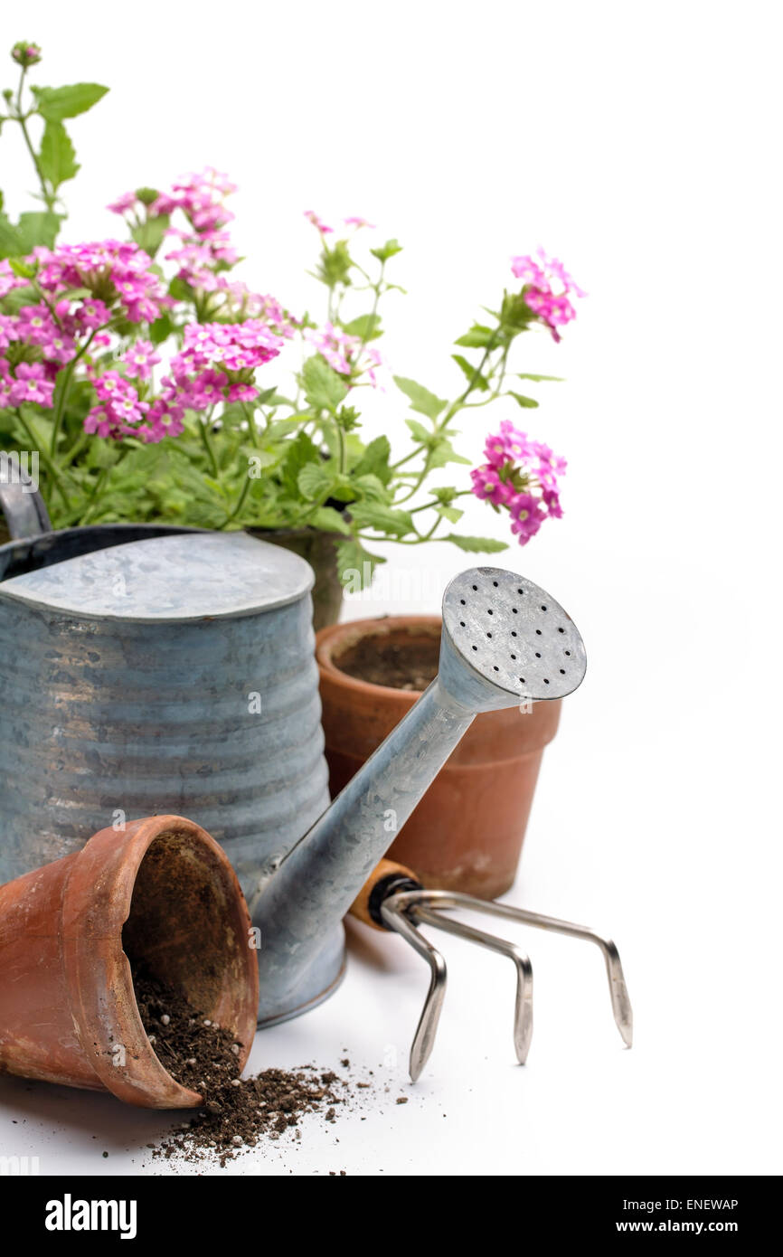 Gardening tools and flower on white background Stock Photo