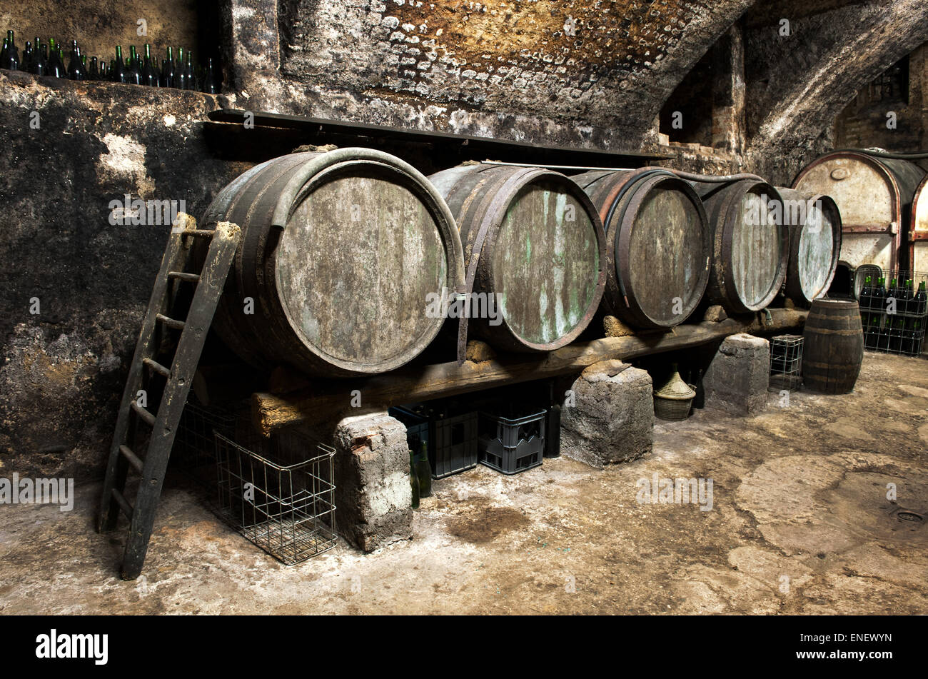 Interior of an old wine cellar at a winery with a row of wooden oak casks Stock Photo Alamy