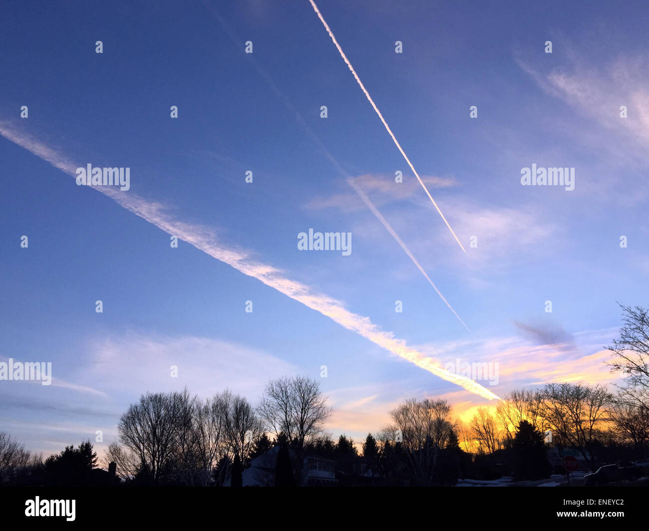 jet contrails over woods. Stock Photo