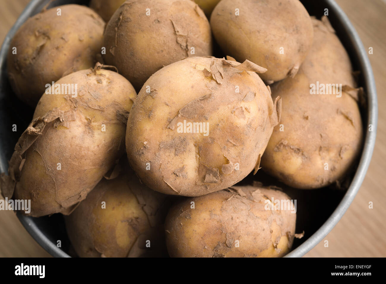 Jersey Royal new potatoes fresh out of the ground grown on the channel island of Jersey Stock Photo