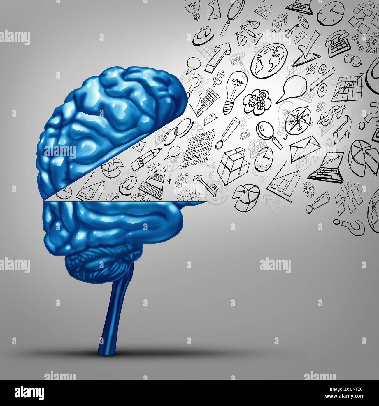 Business thoughts and financial vision concept as an open human brain with office icon symbols as charts graphs and objects as a metaphor for marketing success training and strategy communication. Stock Photo