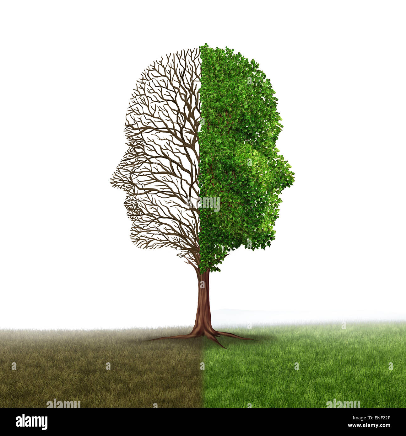 Human emotion and mood disorder as a tree shaped as two human faces with one half empty branches and the opposite side full of leaves as a medical metaphor for psychological contrast in feelings on a white background. Stock Photo