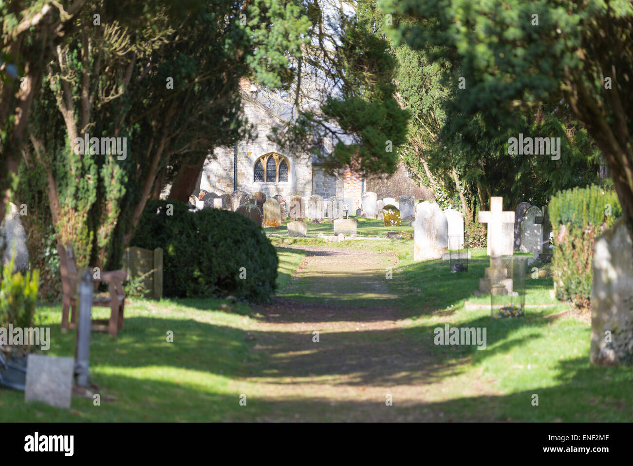 A walk in the Churchyard. Stock Photo