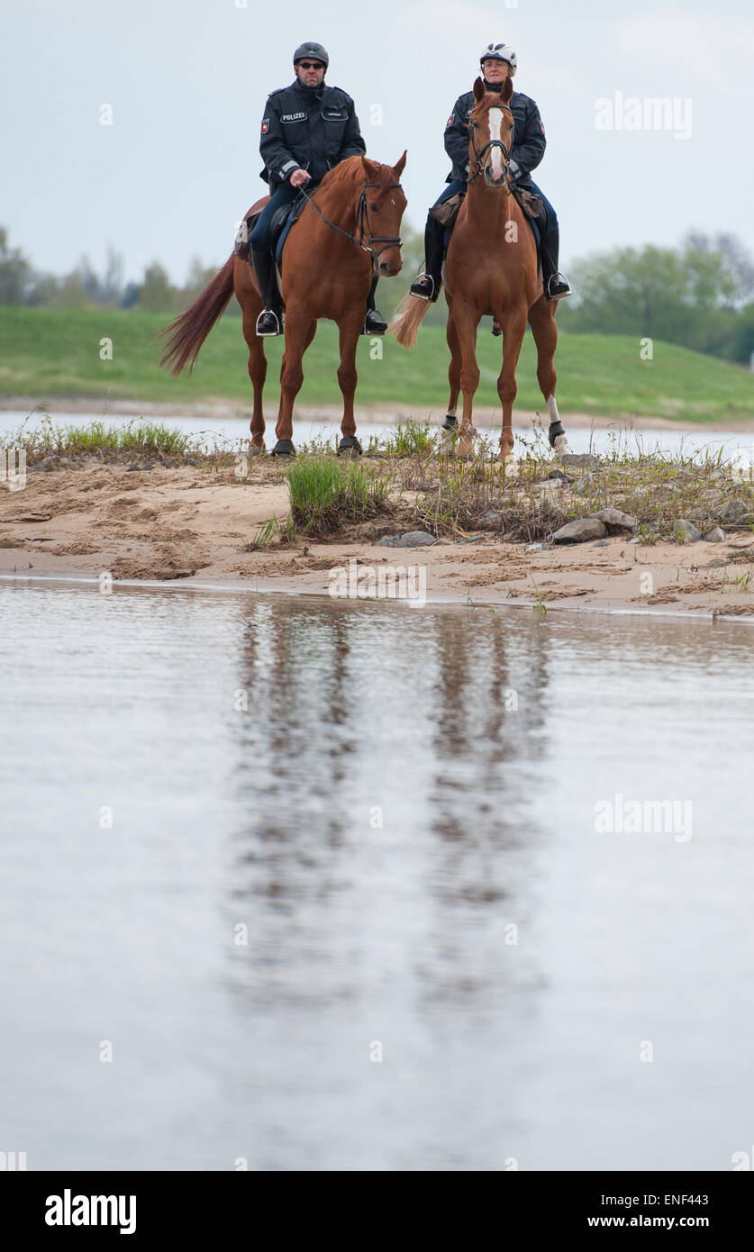 Kaltenhof, Germany. 30th Apr, 2015. Two police officers, Oliver Lenick (L) and Heike Barck, ride their Hanoverian horses, Zbadak and Einstein, near Kaltenhof, Germany, 30 April 2015. Four officers of the riding squad will ensure that visitors of the Niedersächsische Elbtalaue (lit. Lower Saxon Elbe Valley Meadows) biosphere reserve comply with environmental regulations. Photo: Philipp Schulze/dpa/Alamy Live News Stock Photo