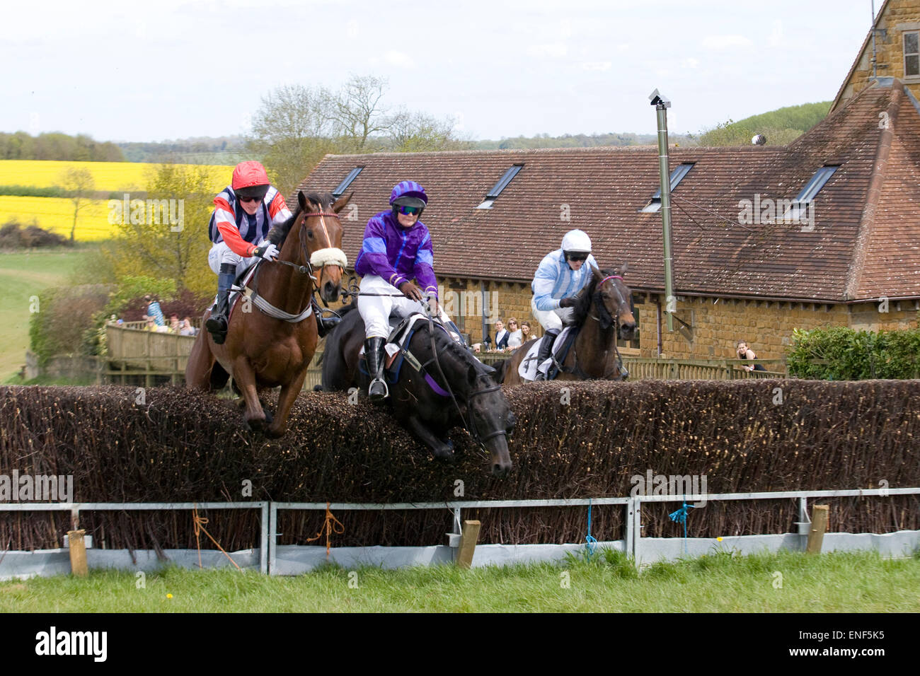 Race horses jumping brush fences at a local point to point meeting