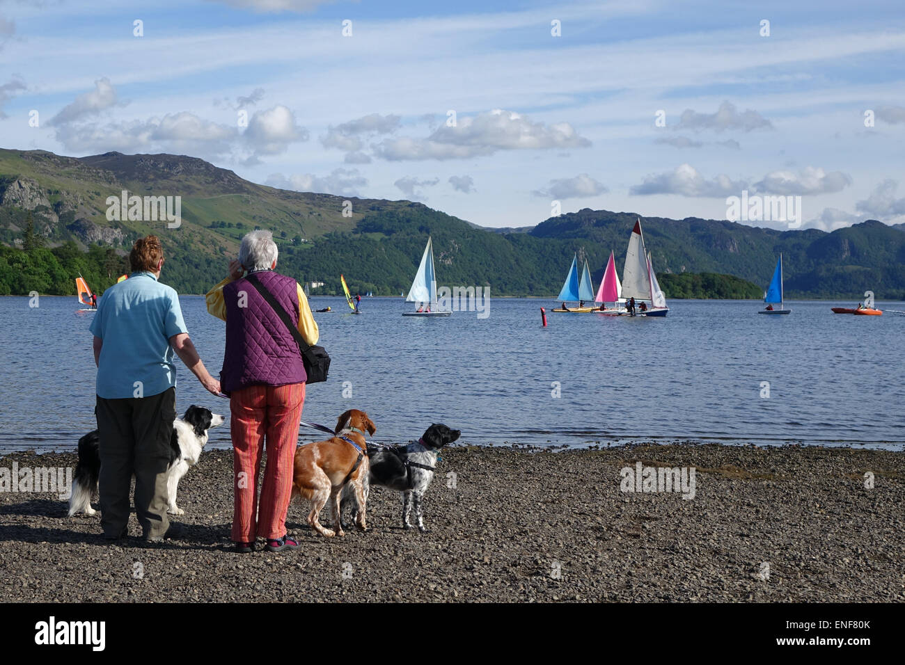 People with dogs watching Sailing Dinghies, Derwent Water, Lake