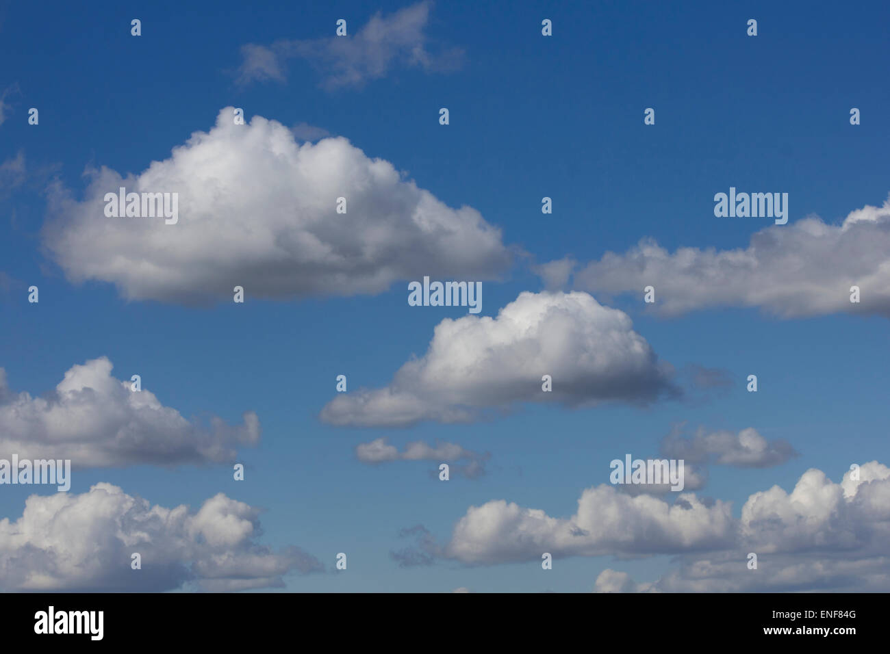 Blue sky with white fluffy clouds Stock Photo - Alamy