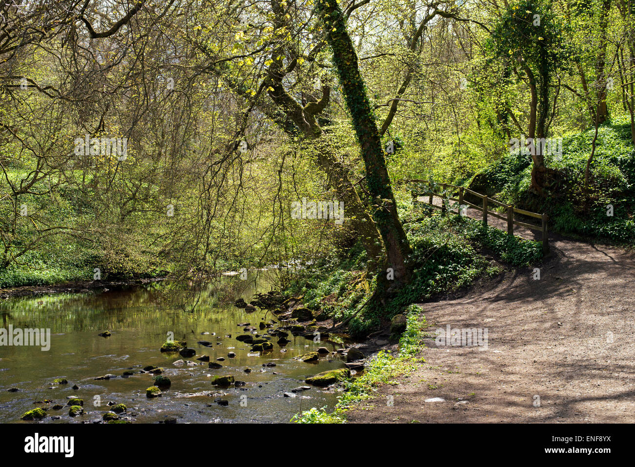 The Water of Leith flowing through Colinton Dell on the outskirts of Edinburgh, Scotland, UK. Stock Photo