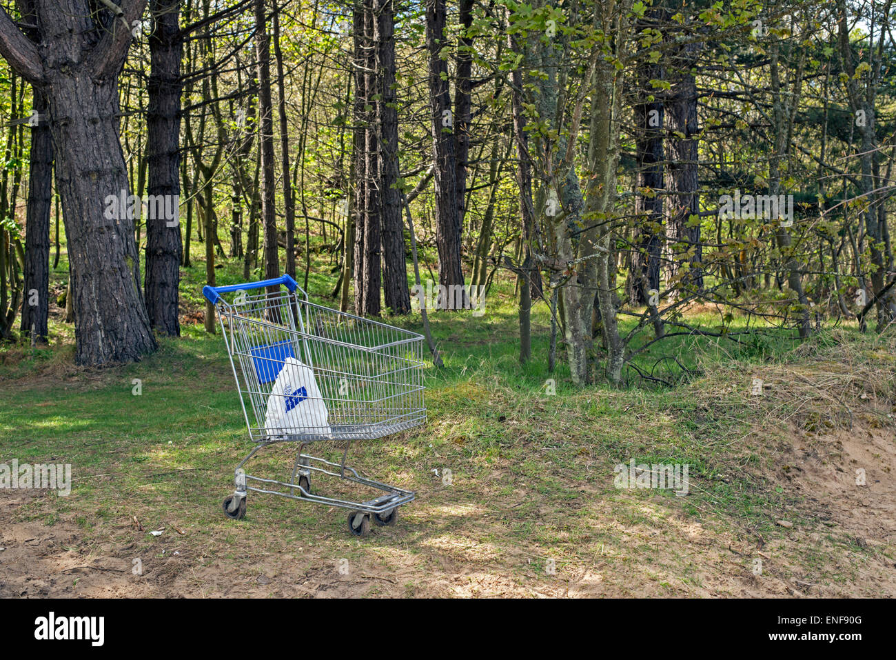 An abandoned supermarket trolley in woods by the Firth of Forth near Edinburgh, Scotland, UK. Stock Photo
