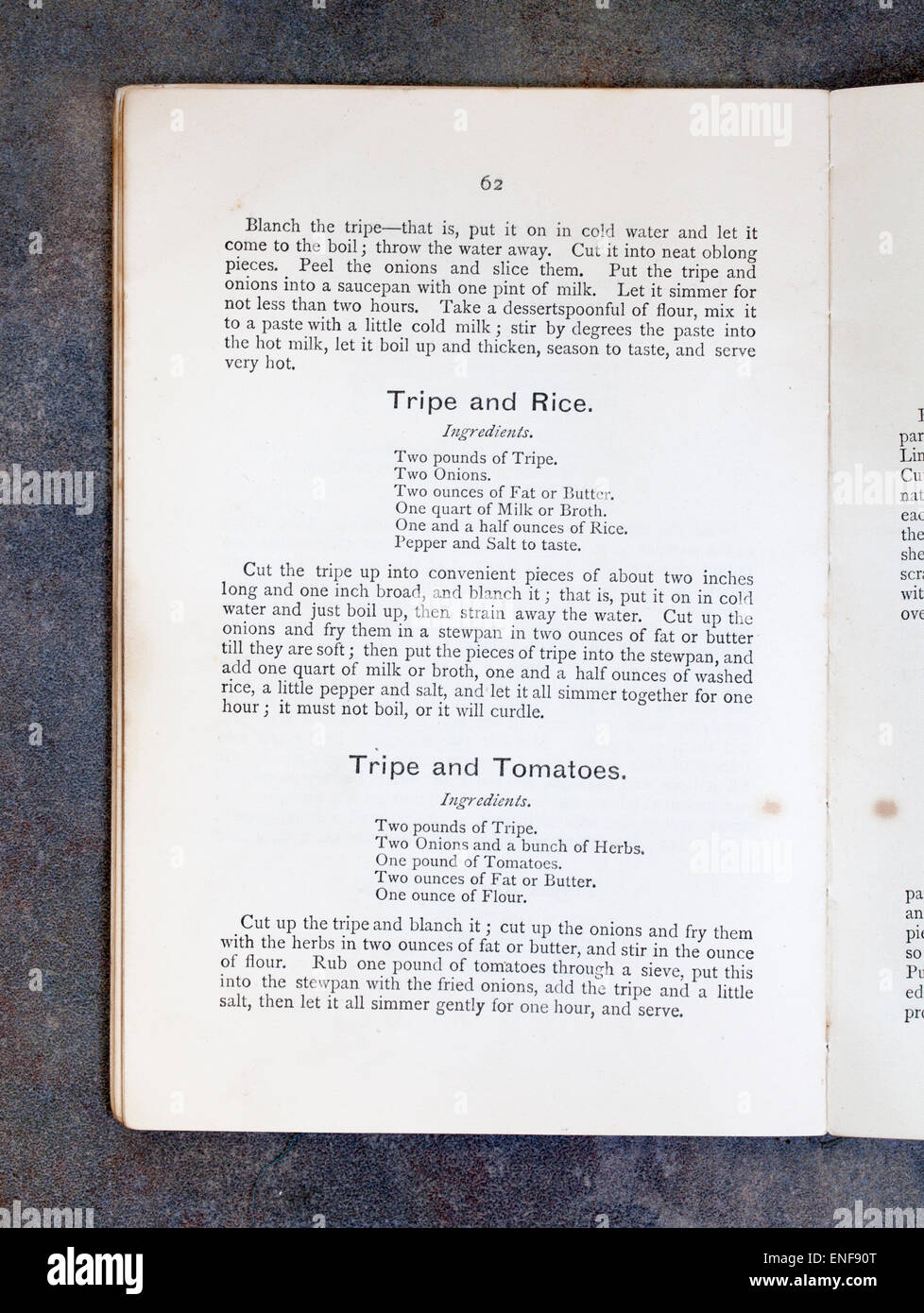 Tripe and Rice from Plain Cookery Recipes Book by Mrs Charles Clarke for the National Training School for Cookery Stock Photo