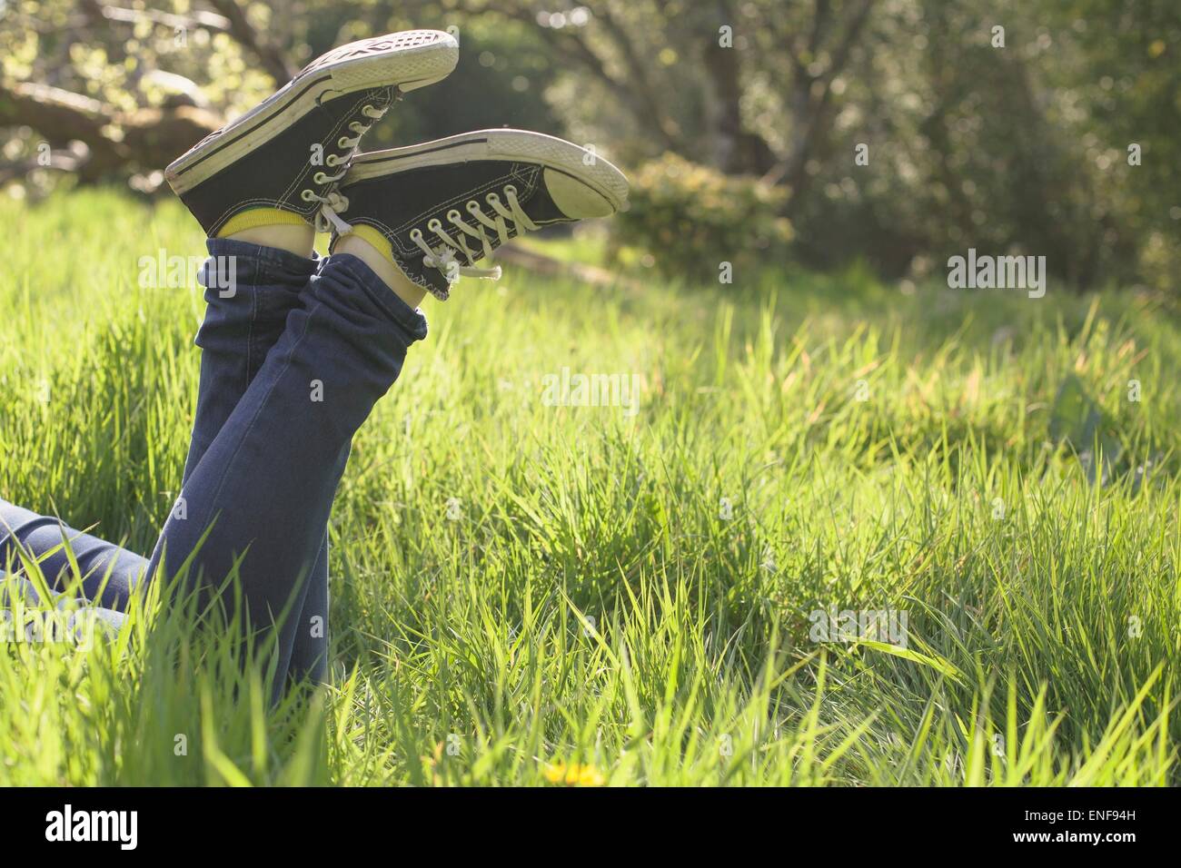 Legs lying in the grass in a park on sunny day Stock Photo
