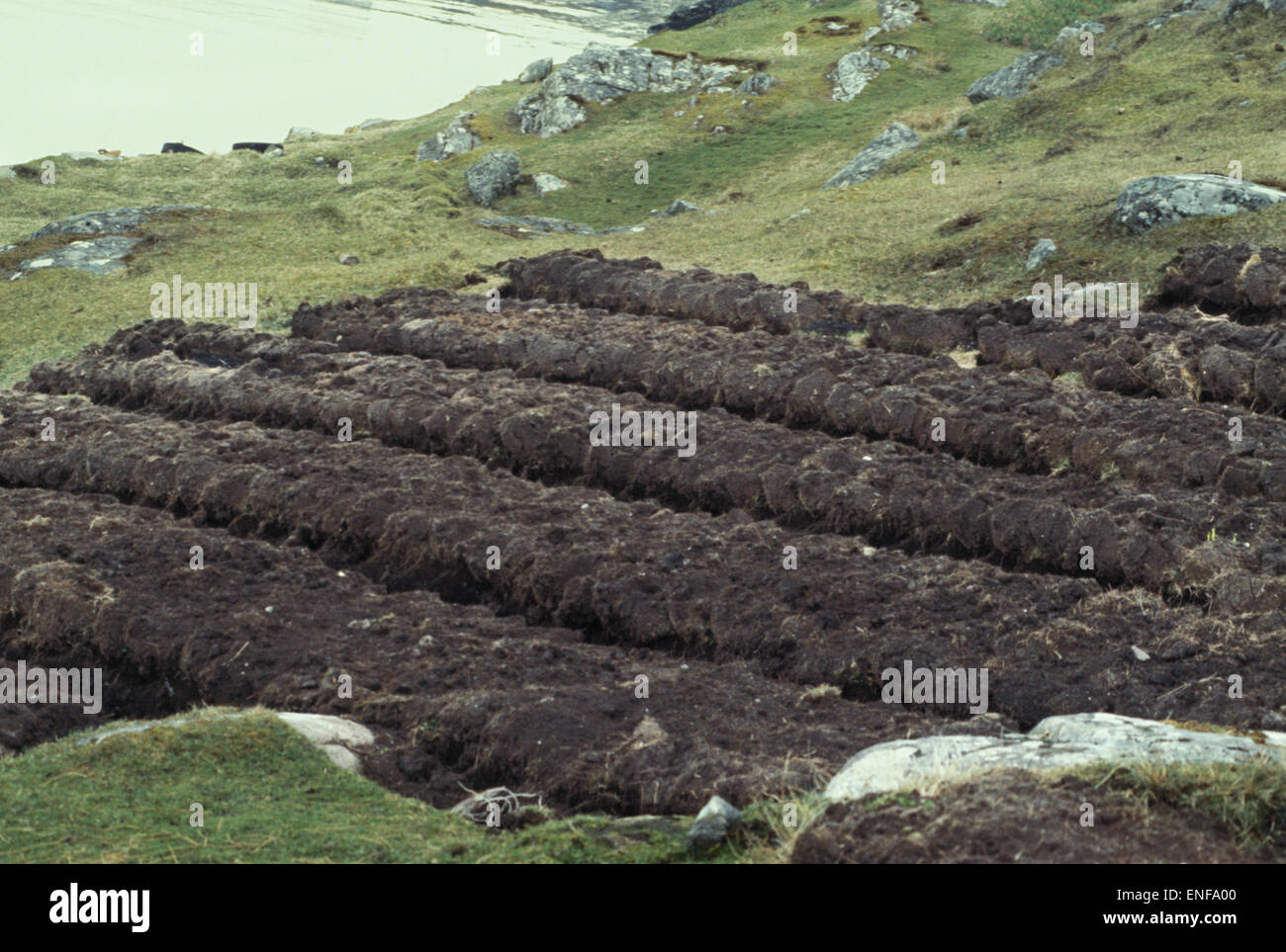 Lazy beds garden hires stock photography and images Alamy