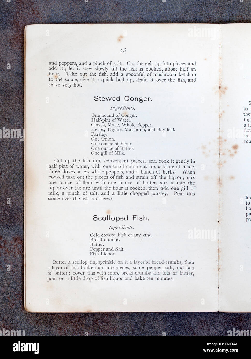 Stewed Conger Scolloped Fish recipes from Plain Cookery Recipes Book by Mrs Charles Clarke for the National Training School Stock Photo