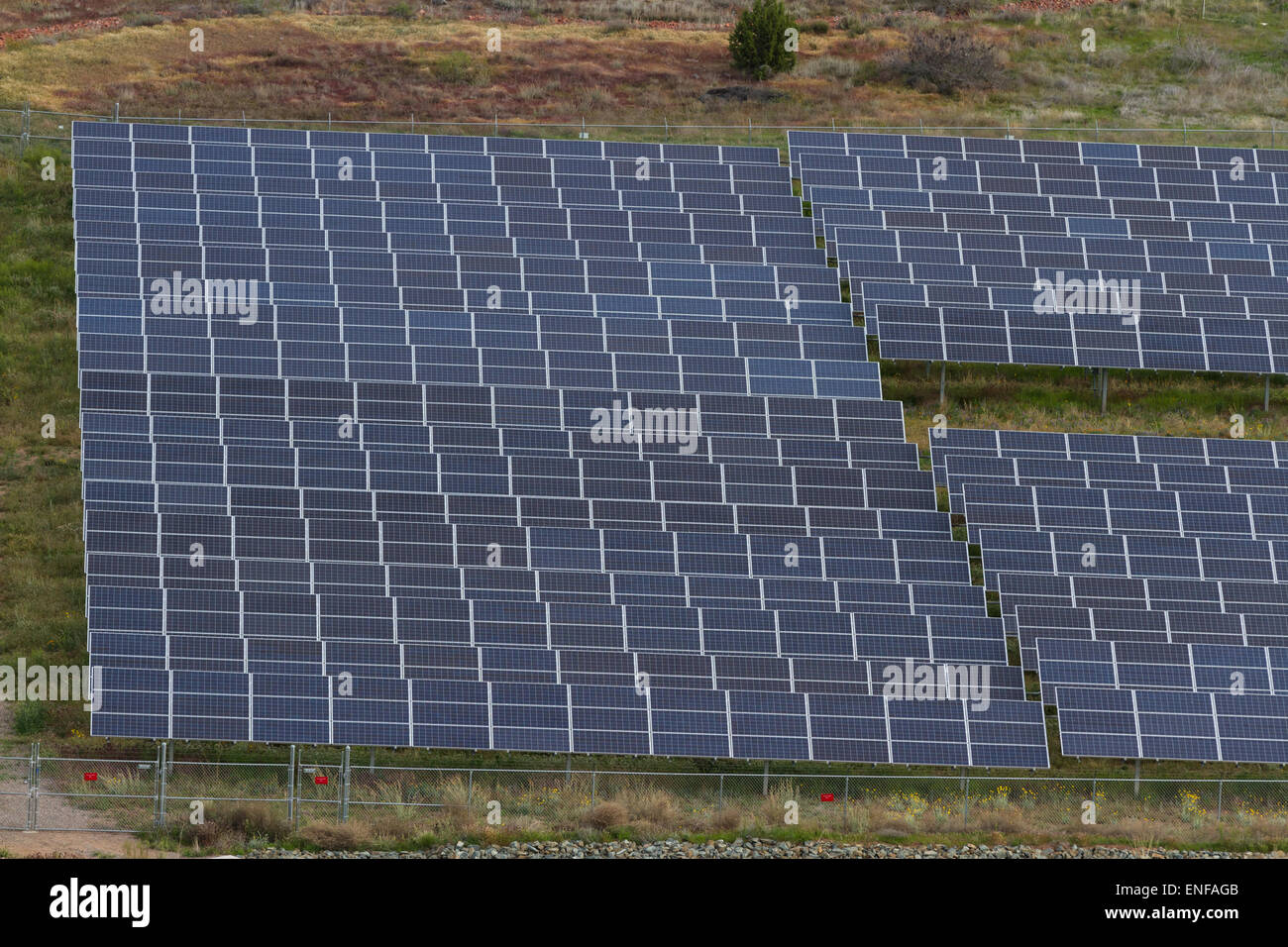 vast amount of solar panels in the desert of Arizona Stock Photo Alamy