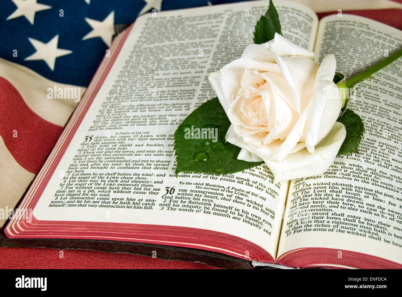 White rose on open Holy Bible on an American flag Stock Photo Alamy