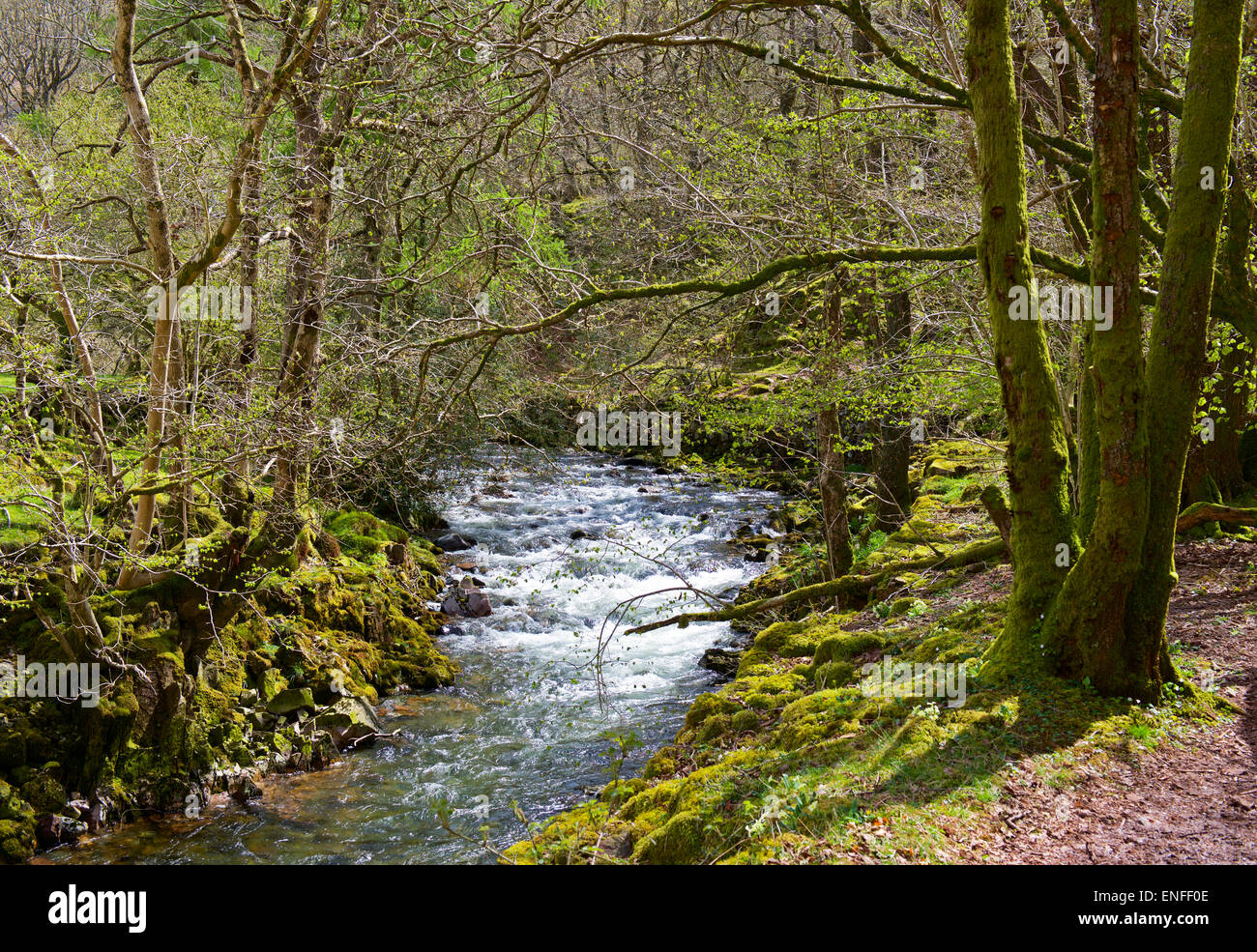 The River Esk near Boot, Eskdale, Lake District National Park, Cumbria, England UK Stock Photo