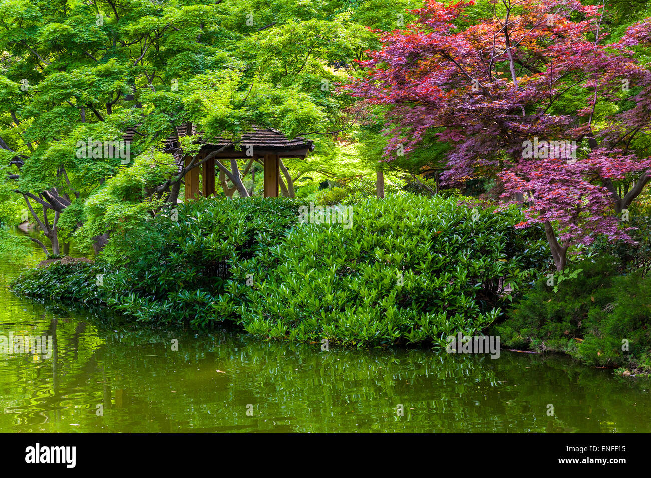 Quiet Spot At An Overlook In The Japanese Botanical Gardens In