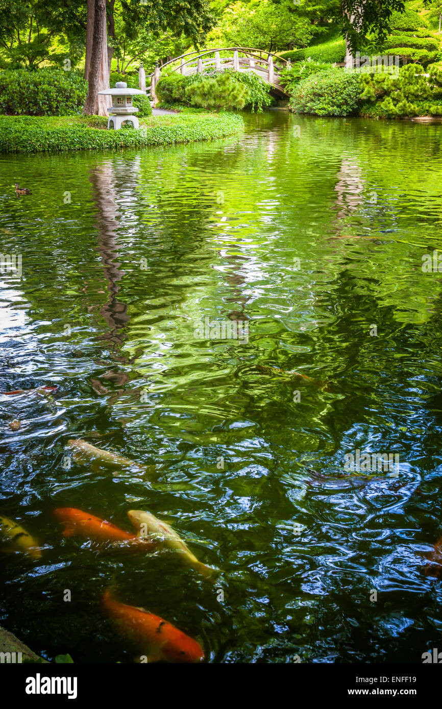 Quiet and peaceful scene hi-res stock photography and images - Alamy