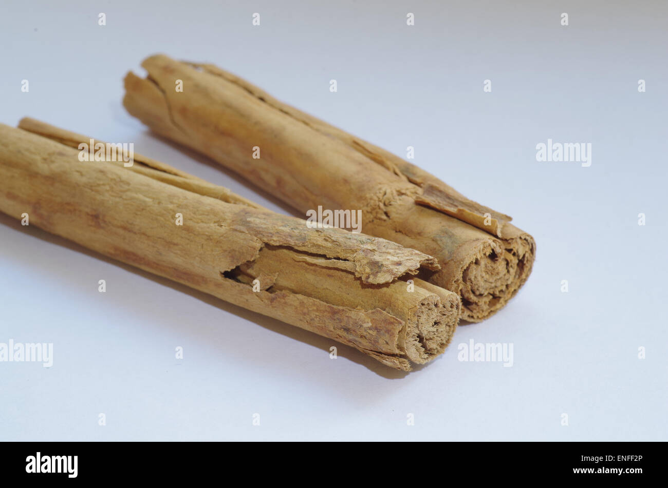 Cinnamon Sticks (True Cinnamon Stock Photo Alamy