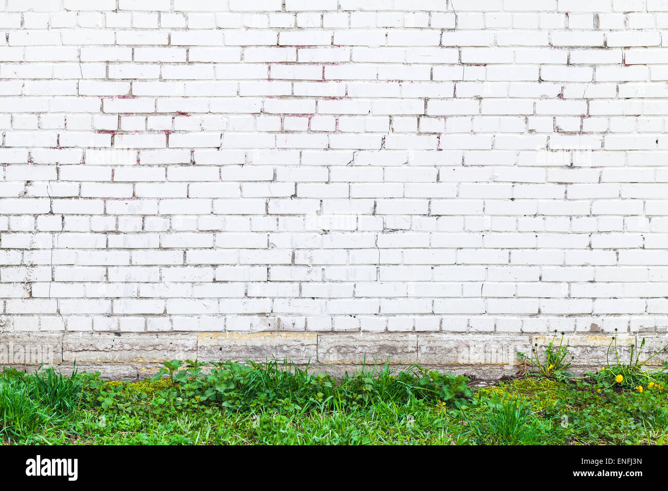 White brick wall and fresh green grass. Abstract urban interior