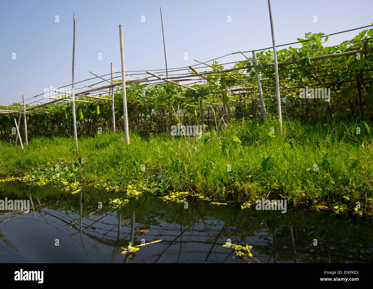 Floating Gardens, Inle Lake, Myanmar Stock Photo Alamy