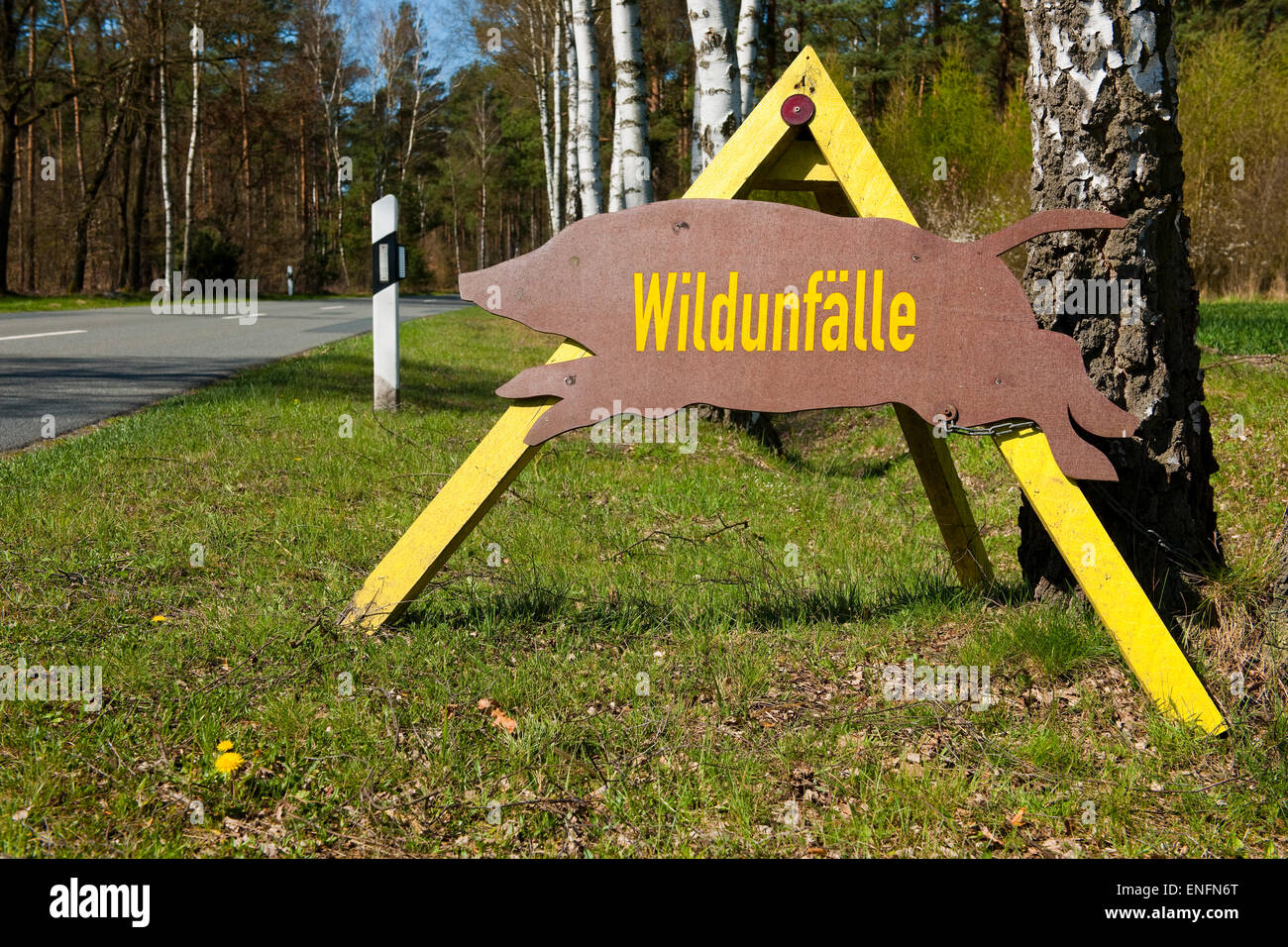 Sign with the German word 'Wildunfälle', danger of wildlife accidents, Lower Saxony, Germany Stock Photo