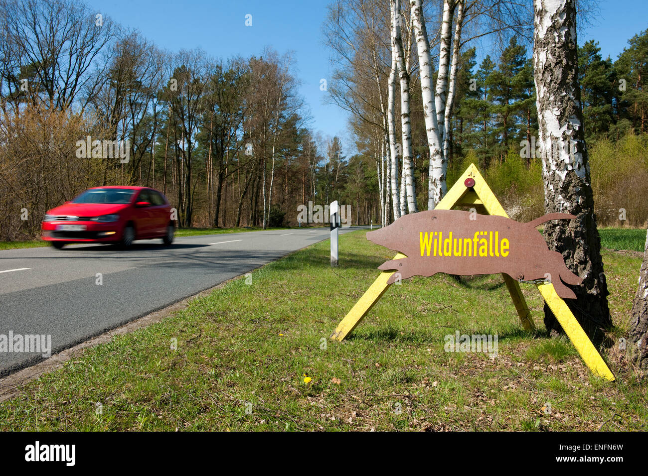 Sign with the German word 'Wildunfälle' with a passing car, danger of wildlife accidents, Lower Saxony, Germany Stock Photo