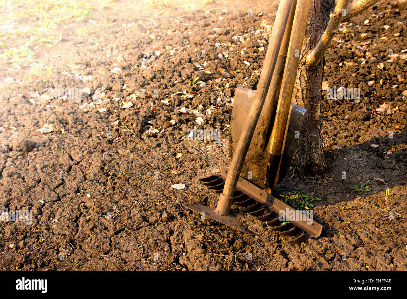 Old retro garden tools (cultivator, shovel, rake) over brown soil