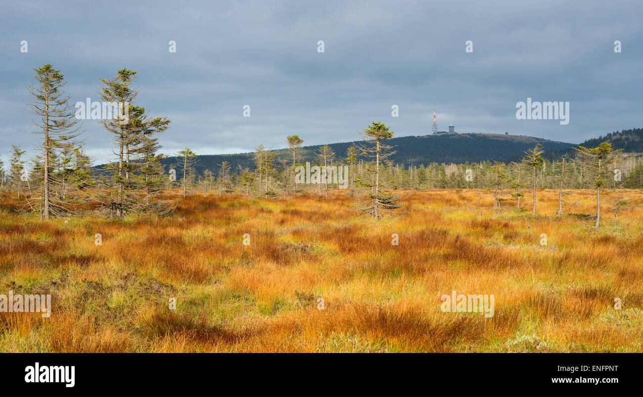 Bodebruch raised bog in autumn with view of the Brocken mountain, Harz National Park, Lower Saxony, Germany Stock Photo