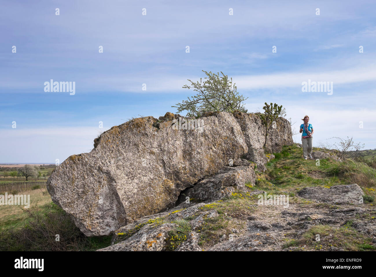 Hölzlstein rock, Oggau am Neusiedler See, Northern Burgenland, Burgenland, Austria Stock Photo